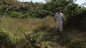 Two Cocks in Wild Surroundings