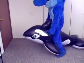 Blueup Shark in Shark vs Orca Whale fursuit inflation blowup