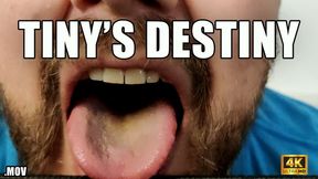 KingMarti: Tiny's Destiny - Surrender to Power: Embrace Your Weakness, Become Strength - 4k UHD - MOV