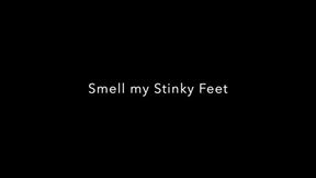 Smell my Stinky Feet