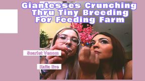Giantesses Crunching Thru Tiny Breeding For Feeding Farm