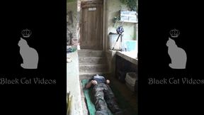 Greenhouse trampling for the second time by Alice (fullbody)