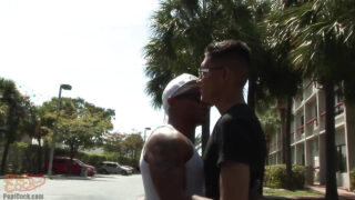 Fusti gay tatuati con cazzi enormi scopano a pelo, succhiano in profondità e sparano pompini in faccia