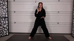 ZIVA'S KARATE CLASS