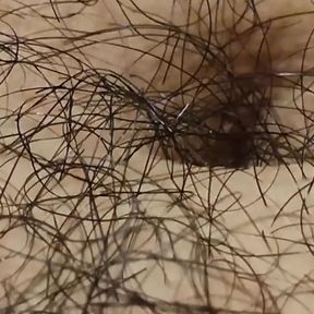 I&#039;m Hairy Boy This My Legs and Dick