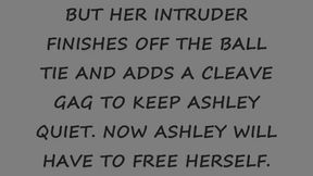 ASHLEY GRAHAM SPY IN BONDAGE TROUBLE LAST PART