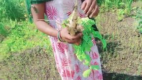 Desi Bhabhi was fucked in the fields