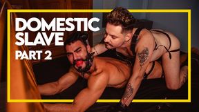 Domestic Slave - Part 2 (1080p) Gay bondage - Gay Domination - Spanking - Muscle - Master - Slave - BDSM