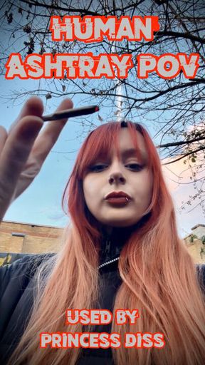 Human Ashtray POV – Used by Princess Diss