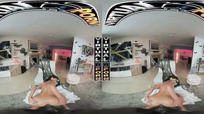 ”Doggy Delights - POV Compilation #4”