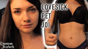 Lovesick Pet JOI