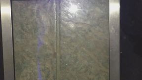 1 OH 9 POINT 2 POUNDS UR WISH IS GRANTED