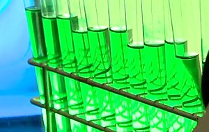 My wife is a cheating whore