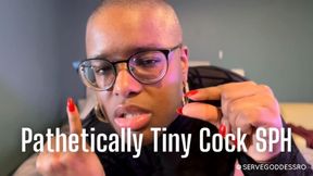 Pathetically Tiny Cock SPH - Royal Ro small penis humiliation ebony femdom pov hd mp4 1080p