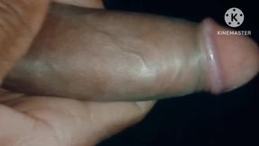 Indian Desi Boy Land Masturbation