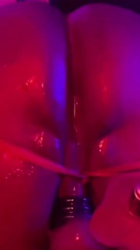 Fall/halloween Bundle