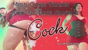 Miss Cane Trains you for Santa's Cock