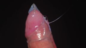 Blowjob in a Condom Very Close up. Red Lips Caress and Lick the Penis.