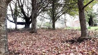 Quick, nervous banged! out into nature while hiding from cars.