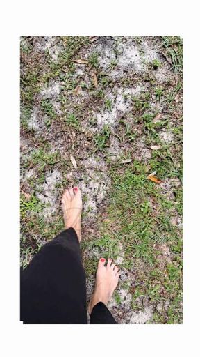 Mailbox Goddess: Feet in the Sand