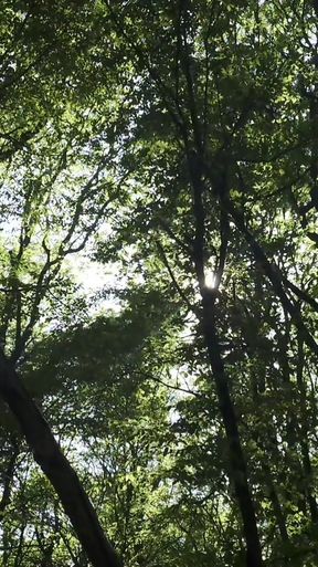 Emotional moment from &quot;trailer Mesmeriza 23 02 MOV CINEMA CLIP 321 20240814134325039&quot;