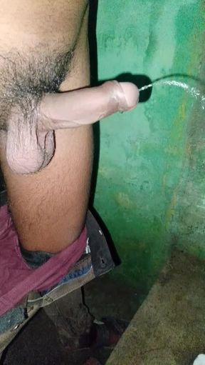 Pesab karta huo
