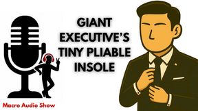Giant Executive's Tiny Pliable Insole