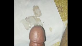 രാത്രി വാണമടിച്ചു പാല് ടിഷ്യൂ പേപ്പറിൽ ചീറ്റുന്നു