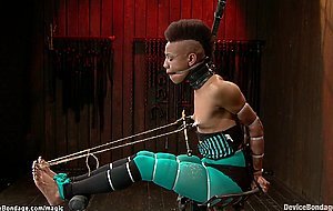 Ebony in split suspension caned