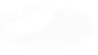 Fantastic She-male Get A Wedding Day Beef whistle - Chanel Santini