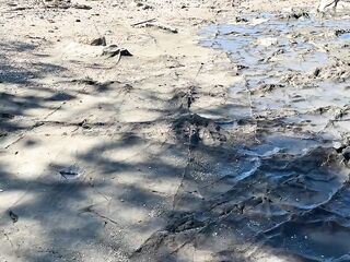 Banging on a public beach