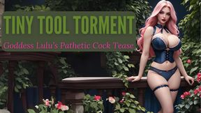 Tiny Tool Torment: Goddess Lulu’s Pathetic Cock Tease