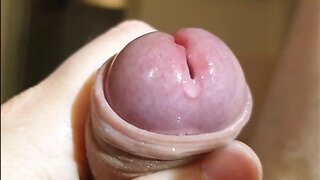 Early rising: the fourth edition