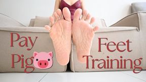 Pay Pig Feet Training