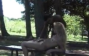 Outdoor fuck collection