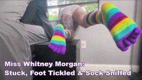 Whitney Morgan: Stuck, Foot Tickled, Sock Sniffed - wmv