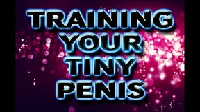 TRAINING YOUR TINY PENIS