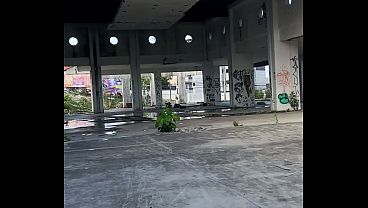 Dando o cuz&atilde_o peludo pela cidade (parte 1)