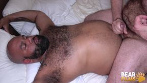 Bearfilms Tattooed Brooklyn Bear Fucked by Sam Black