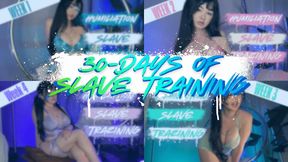 Humiliation Slave Training - 4 Week Bundle