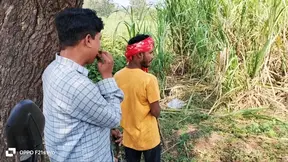 Intense Indian Threesome, Farmer And City Boy Unleash Passion In Sugarcane Fields - Gay Film Hindi