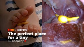[FHD 60FPS] - The perfect place for a tiny - ENDOSCOPE VORE
