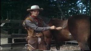 Falcon Studios: Nude Cowboy Lust Unleashed