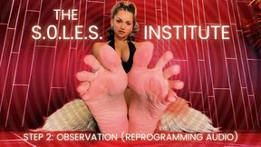 The S.O.L.E.S. Institute Step 2: Observation (Reprogramming Audio)