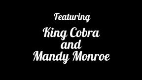that nice black king cobra cock: mandy monroe gets filled with the cobra