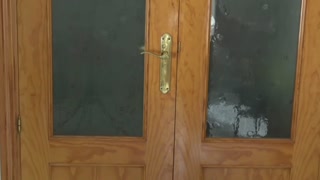 Naughty Brazilian Wife Gets A Rough Throat Fucking From The Delivery Guy