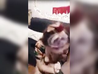 FELIZ CUMPLEAÑOS. HOTWIFE SOPLA LA VELA MIENTRAS CHUPA LA PIJA. LIVE NENAMALA