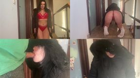 Downjacket Stair Tease – Red Lingerie, Blowjob & Cum on Coat