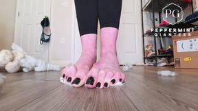 67 Tall Giantess Barefoot Plushie Crush: Size 16 Toes Tear Open & Empty Fluff