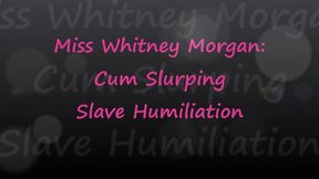 Miss Whitney Morgan: Cum Slurping Slave Humiliation - wmv